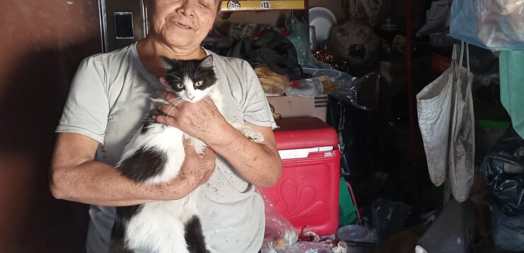 Shop owner seeks support to feed her cats