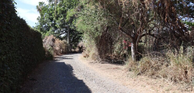 Work begins on new Ajijic cemetery near current municipal site